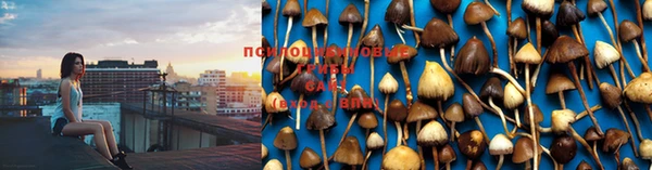 спайс Покров