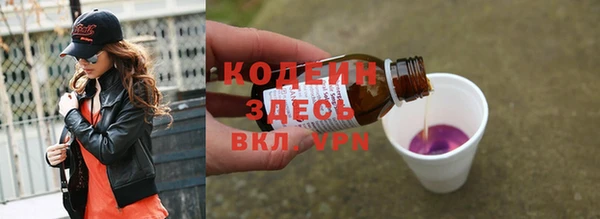 индика Покровск