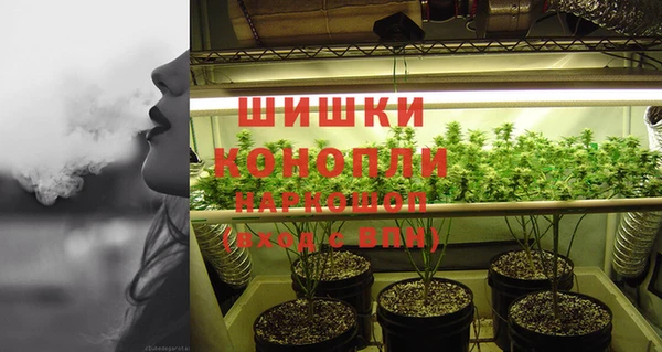 индика Покровск