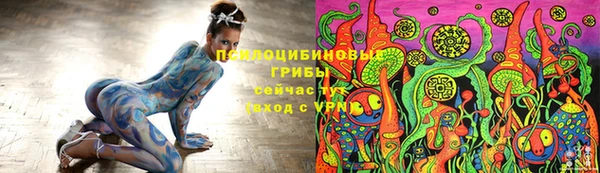 гидропоника Покачи