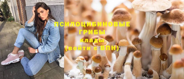 индика Покровск