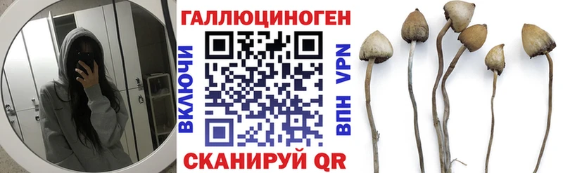 наркота  Абаза  Галлюциногенные грибы MAGIC MUSHROOMS 