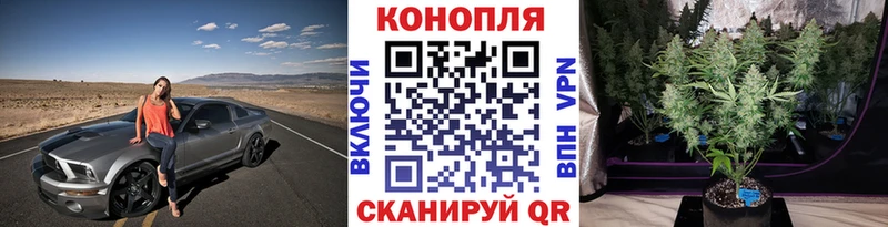 наркотики Абаза МАРИХУАНА индика